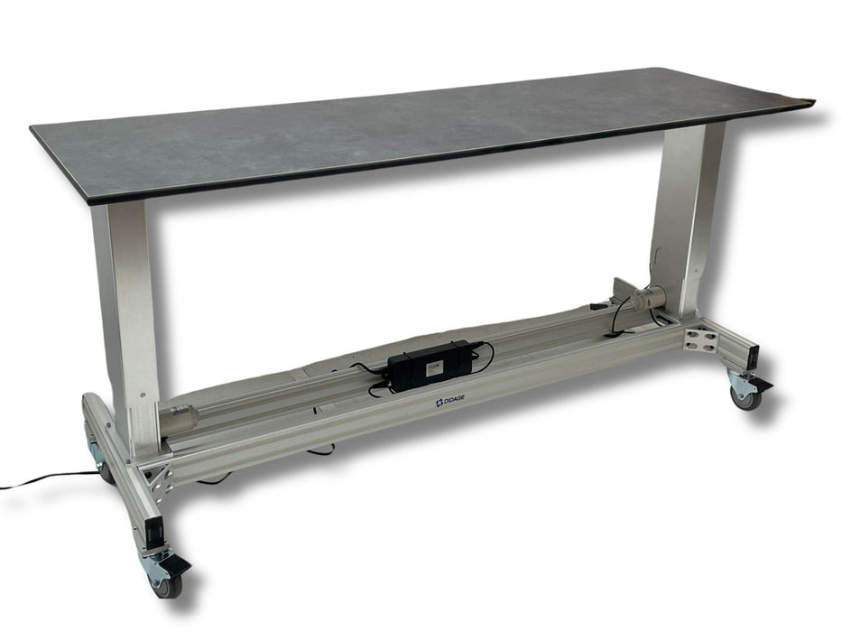 Didage DS2500 LabMax 24" x 76" Radiolucent Cadaver Bioskills Table