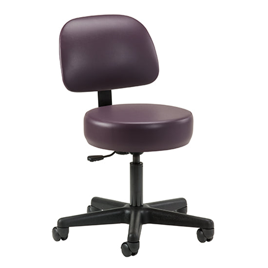21335-1 Economic 5-leg Pneumatic Stool with Backrest