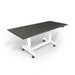 Didage DS1000 27" x 72" Radiolucent Cadaver Table-Didage